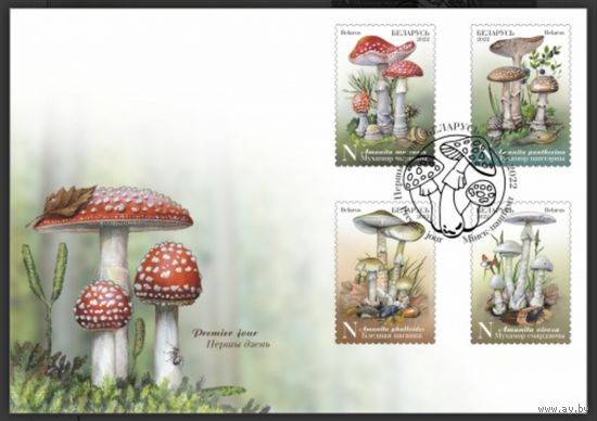 КПД "Ядовитые грибы", 2022