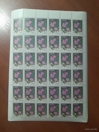 СССР 1977 ГВОЗДИКА ПОЛЗУЧАЯ