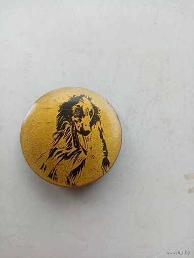 ЗНАЧОК СОБАКА КОЛЛИ (ЛАТУНЬ)