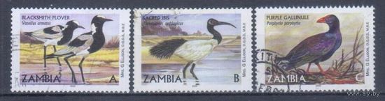 [1380] Замбия 2001. Фауна.Птицы. Гашеная серия.