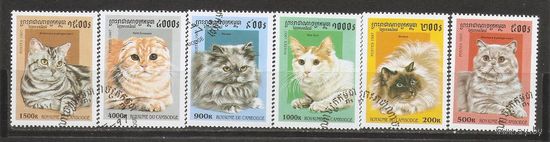 КГ Камбоджа 1997 Кошки