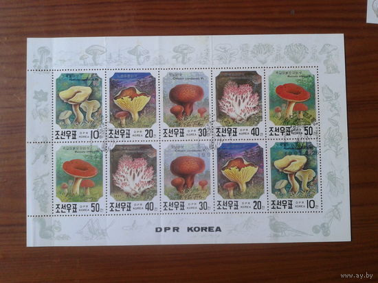 КНДР 1991 Грибы м/лист