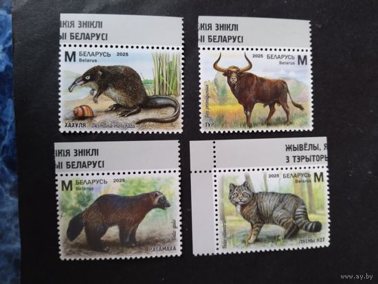 Беларусь  2025  4 мдик.животпые