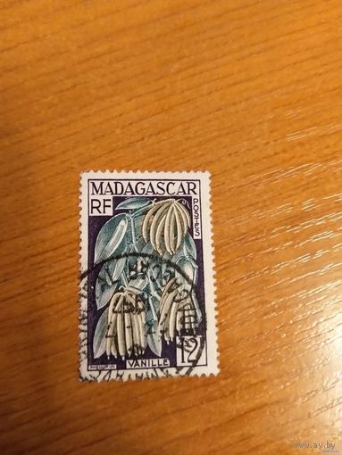 Французская колония Мадагаскар флора (5-4)