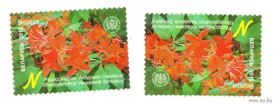 Марка Рододендрон 'Академик Смольский'