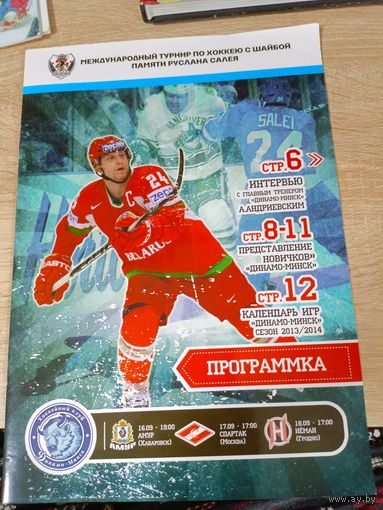 Турнир памяти Р. Салея 2013