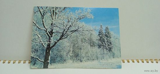 Открытка, 1999г. Б/у. Зимняя природа. 14