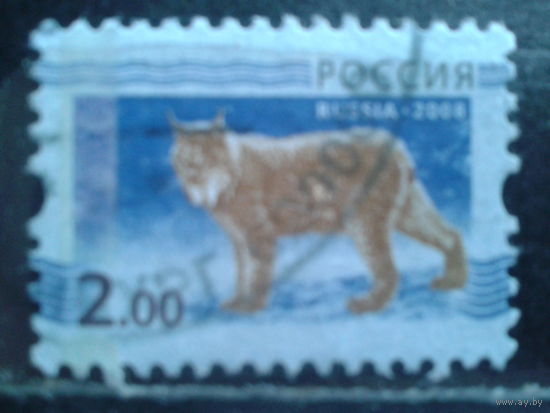 Россия 2008 Стандарт, рысь 2 руб
