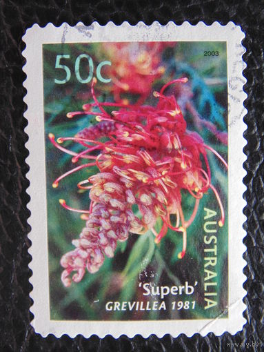 Австралия 2003 г. Флора.