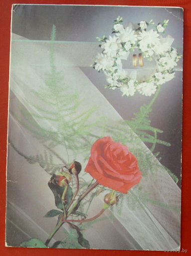 С днём свадьбы! Чистая. Двойная. 1990 года. Фото Киндровой. 1225.