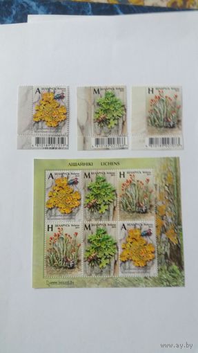 РБ 2019       3м+бл лишайники
