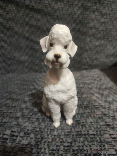 Статуэтка пудель hutschenreuther, собака германия