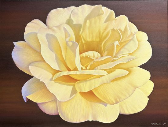 Картина маслом Роза 60х80 см, 2025 г