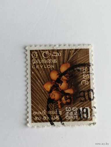 Цейлон 1958-1959. Местные мотивы