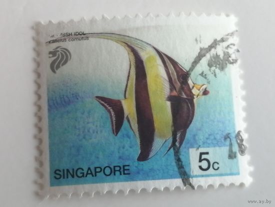 Сингапур 2001. Морская жизнь
