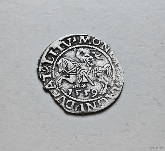 Полугрош 1559 г. Сигизмунд II Август, Вильно, лот рп-13
