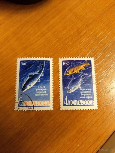 1962 СССР Загорский 2645-2646 фауна рыбы гашеная полная серияMNH** (сф-6)