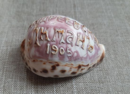 Сувенир раковина резная 1905 год.