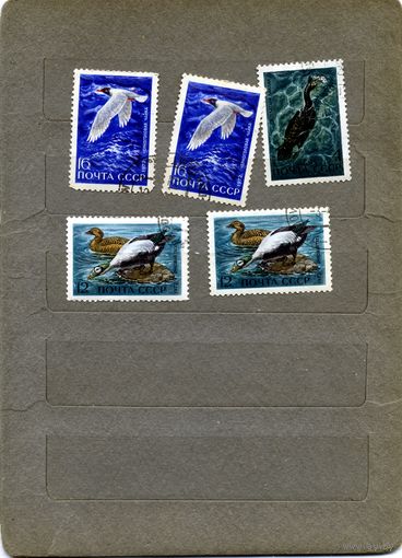 СССР, 1972,  ФАУНА   сборка 5м по 15коп шт.  гашеная