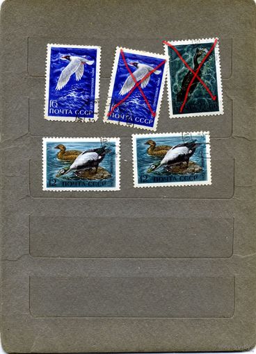 СССР, 1972,  ПЕРНАТЫЕ - ОБИТАТЕЛИ МОРЕЙ И ОКЕАНОВ   сборка 5м по 15коп шт.  гашеная
