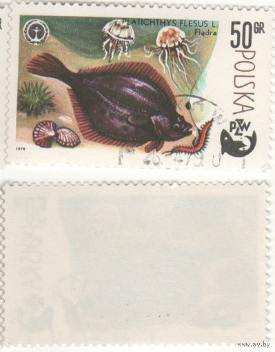 Польша 1979.04.26 (Mi)PL2616 марка из сер.100-летие спортивного рыболовства 50gr Европейская камбала (Platichthys flesus) (г) (a1-16 ТОРГ/ВАША ЦЕНА