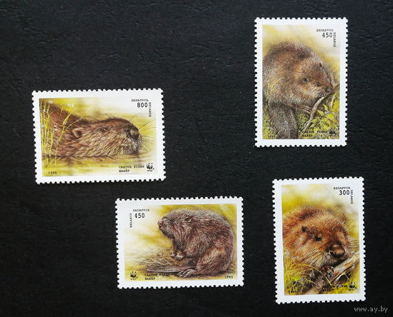 Беларусь 1995 г. WWF. Бобр европейский (речной) (Castor fiber). Бобры. Фауна. полная серия из 4 марок Чистая #0205-Ф1P39