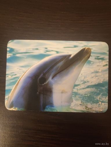 Календарик,реклама,2006