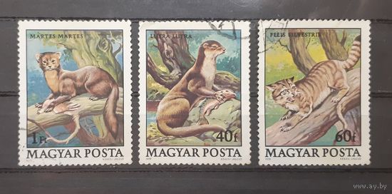 Венгрия. 1979 год. Фауна. 3 марки из серии