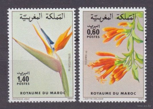 1983 Марокко 1027-1028 Цветы