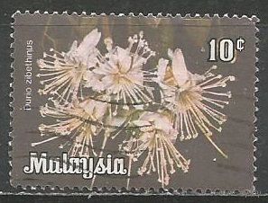 Вилайян Персикотуан. Цветы. Дурман цибетиновый. 1979г. Mi#4.