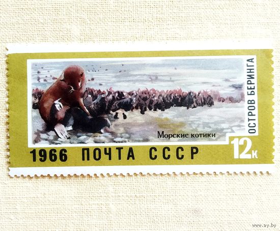 Марка СССР 1966 год Дальний Восток