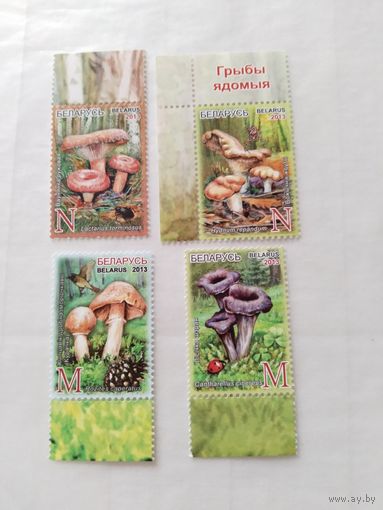 Беларусь   2013 4м грибы