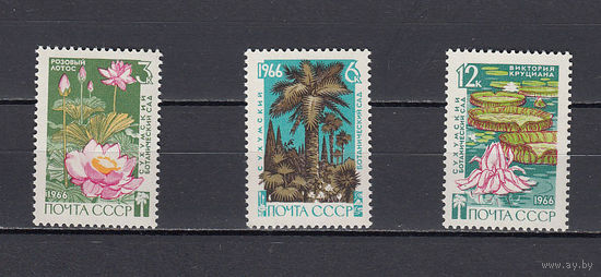 Флора. Ботанический сад. СССР. 1965. 3 марки. Соловьев N 3375-3377 (100 р).