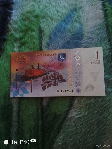 Антарктика 1