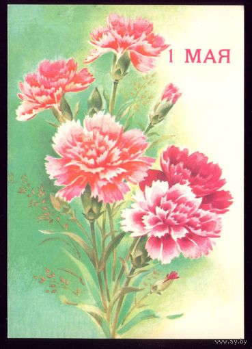1989 год В.Дергилёва 1 мая