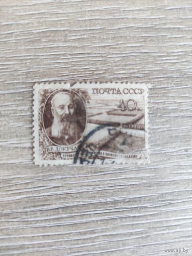 Докучаев 1949