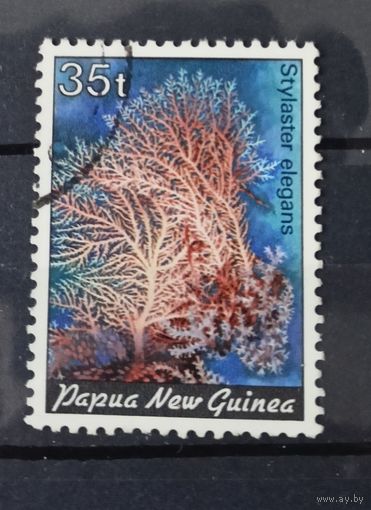 Папуа Новая Гвинея флора кораллы