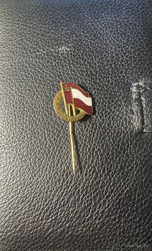 Значок. Общества польско-советской дружбы.