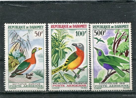 Дагомея (Бенин). Фауна. Птица