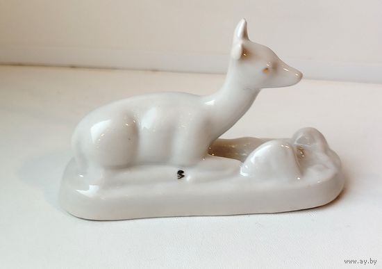 Косуля. Оленёнок. Лань.