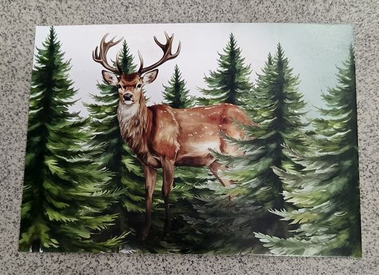 Открытка благородный олень, елки. Чистая