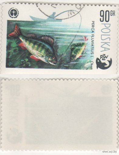 Польша 1979.04.26 (Mi)PL2617 марка из сер.100-летие спортивного рыболовства 90gr Европейский окунь (Perca fluviatilis) (г) (a1-16 ТОРГ/ВАША ЦЕНА