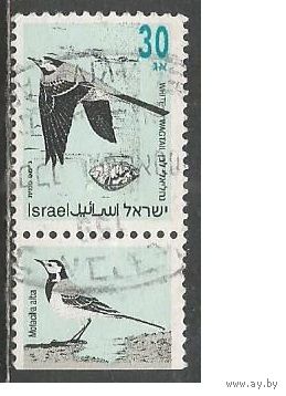 Израиль. Птицы. Белая трясогузка. 1992г. Mi#1250.