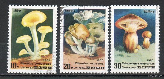 Грибы КНДР 1985 год серия из 3-х марок