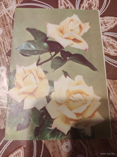 Открытка,телеграмма,подписана