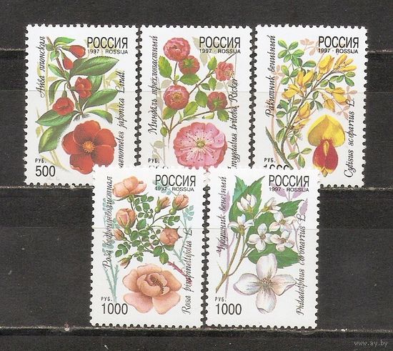 ФФ1 Россия 1997 Цветы