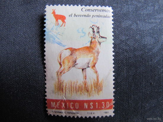 Марка Мексики. За сохранение вилорога