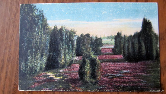Открытка старинная