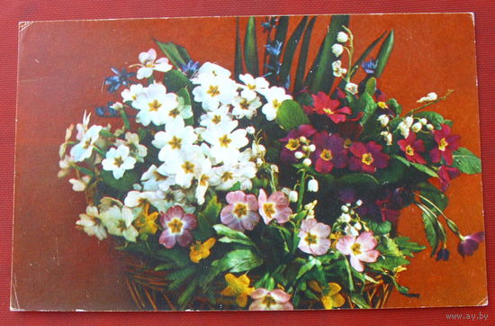 Поздравляем! Чистая. 1975 года. Костенко. 1546.