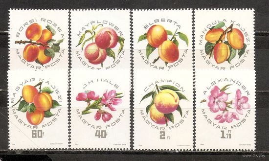 ФФ2 Венгрия 1964 Фрукты